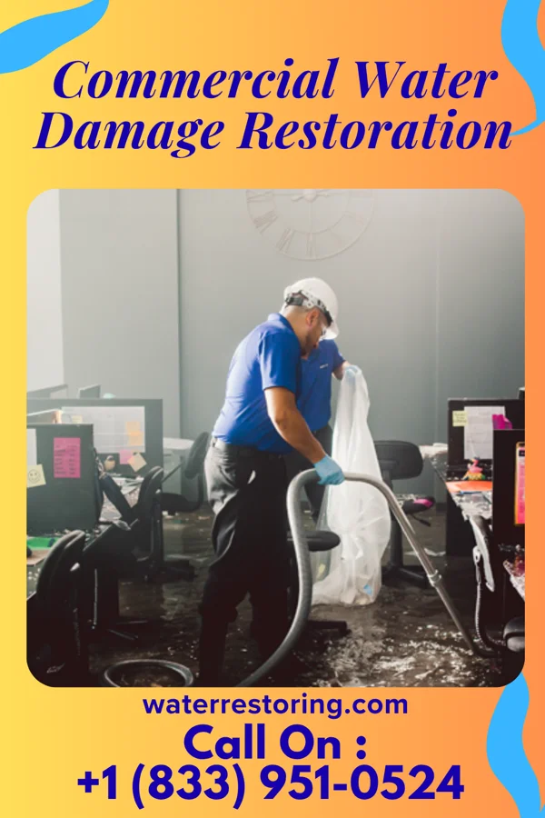 Commercial Water Damage Restoration in Delano, MN