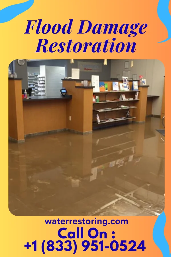 Flood Damage Restoration in Delano, MN