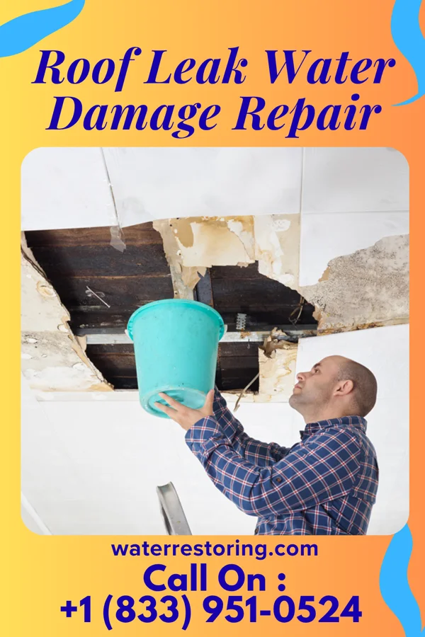 Roof Leak Water Damage Repair in Delano, MN